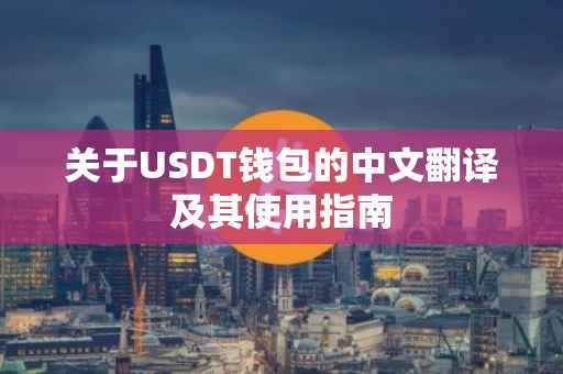关于USDT钱包的中文翻译及其使用指南