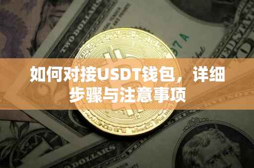 如何对接USDT钱包，详细步骤与注意事项