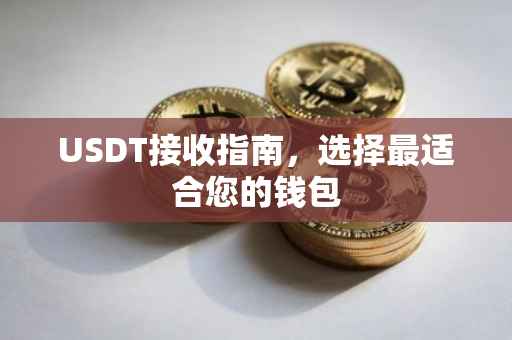 USDT接收指南，选择最适合您的钱包