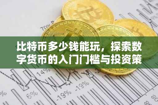 比特币多少钱能玩，探索数字货币的入门门槛与投资策略