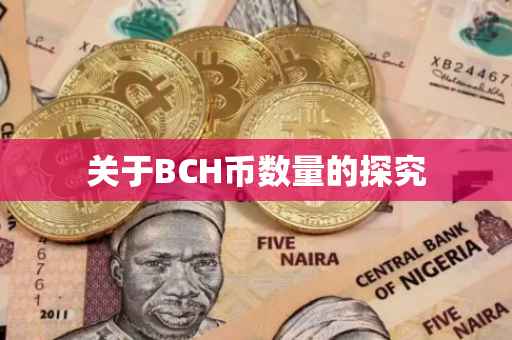 关于BCH币数量的探究