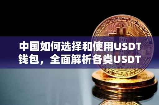 中国如何选择和使用USDT钱包，全面解析各类USDT钱包及其适用性