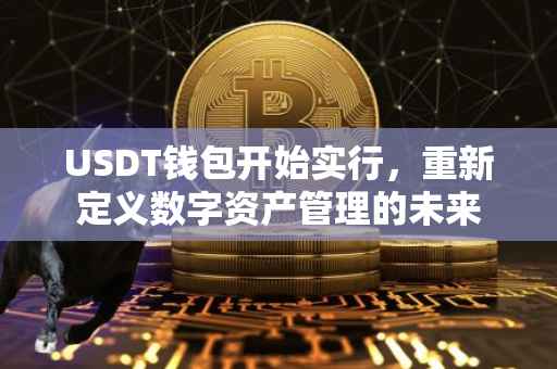 USDT钱包开始实行，重新定义数字资产管理的未来