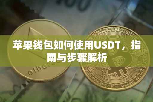 苹果钱包如何使用USDT，指南与步骤解析