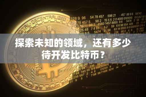 探索未知的领域，还有多少待开发比特币？