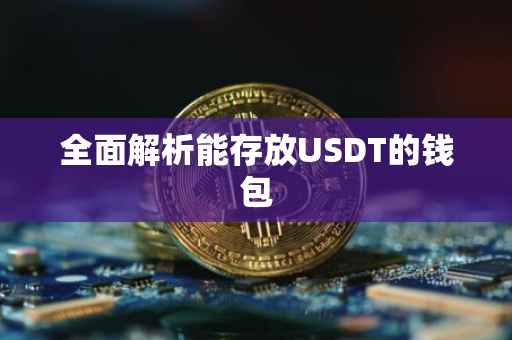 全面解析能存放USDT的钱包