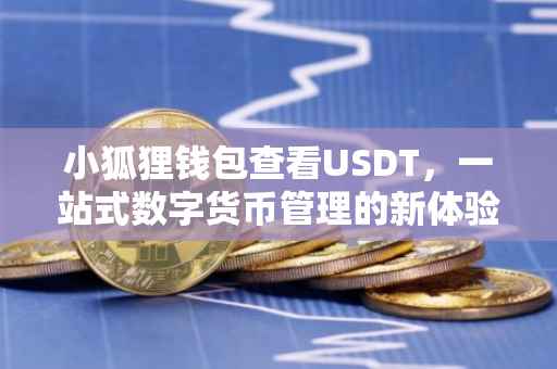 小狐狸钱包查看USDT，一站式数字货币管理的新体验