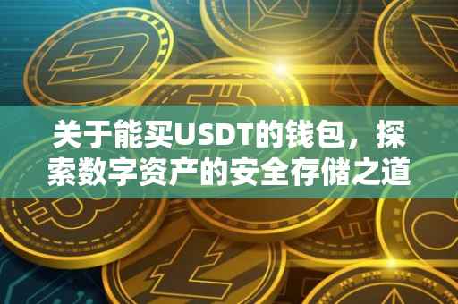 关于能买USDT的钱包，探索数字资产的安全存储之道
