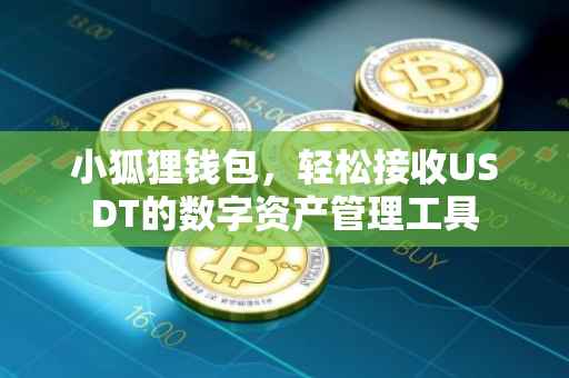 小狐狸钱包，轻松接收USDT的数字资产管理工具