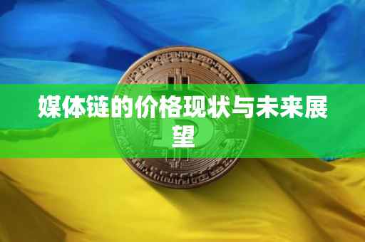 媒体链的价格现状与未来展望