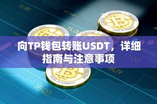 向TP钱包转账USDT，详细指南与注意事项