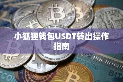 小狐狸钱包USDT转出操作指南