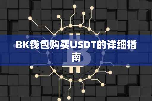 BK钱包购买USDT的详细指南