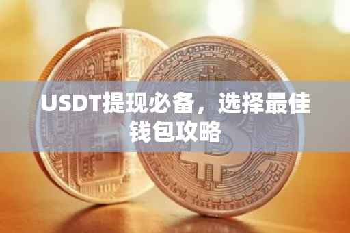 USDT提现必备，选择最佳钱包攻略