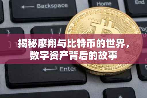 揭秘廖翔与比特币的世界，数字资产背后的故事