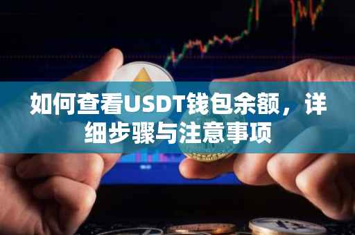 如何查看USDT钱包余额，详细步骤与注意事项
