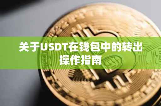关于USDT在钱包中的转出操作指南