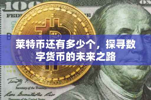 莱特币还有多少个，探寻数字货币的未来之路
