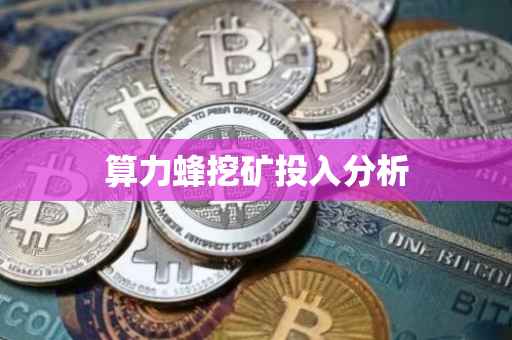 算力蜂挖矿投入分析