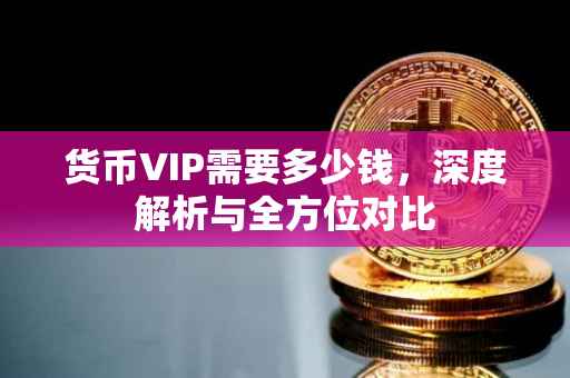 货币VIP需要多少钱，深度解析与全方位对比