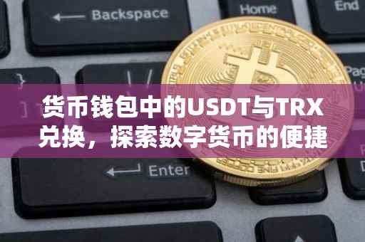 货币钱包中的USDT与TRX兑换，探索数字货币的便捷之路