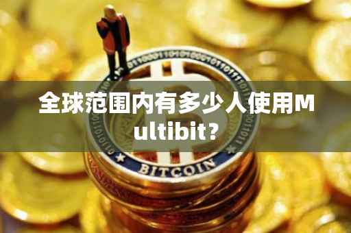 全球范围内有多少人使用Multibit？