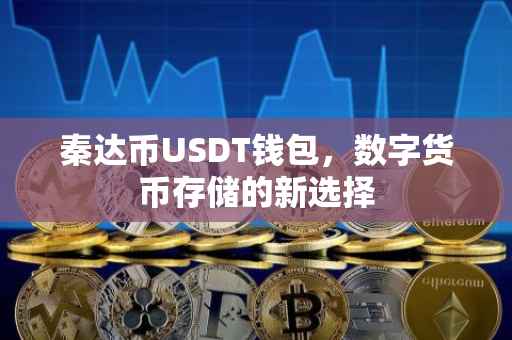 秦达币USDT钱包，数字货币存储的新选择