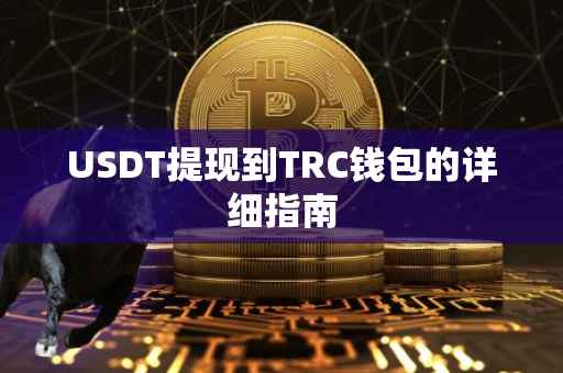 USDT提现到TRC钱包的详细指南