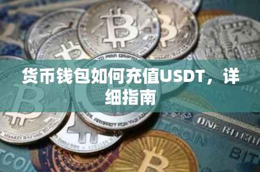 货币钱包如何充值USDT，详细指南