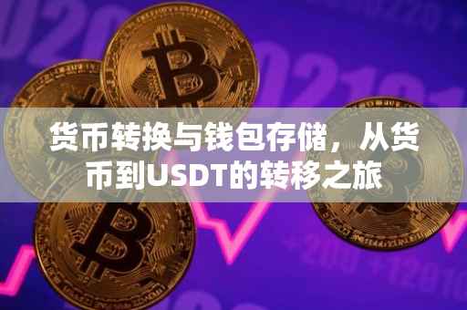 货币转换与钱包存储，从货币到USDT的转移之旅