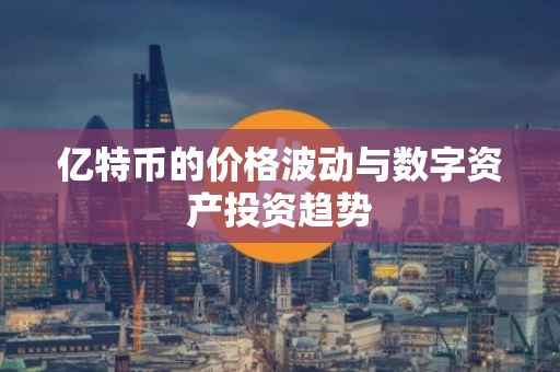 亿特币的价格波动与数字资产投资趋势