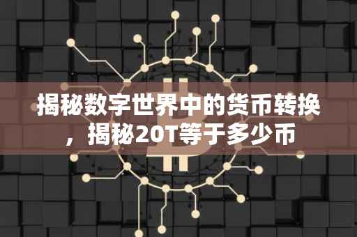 揭秘数字世界中的货币转换，揭秘20T等于多少币