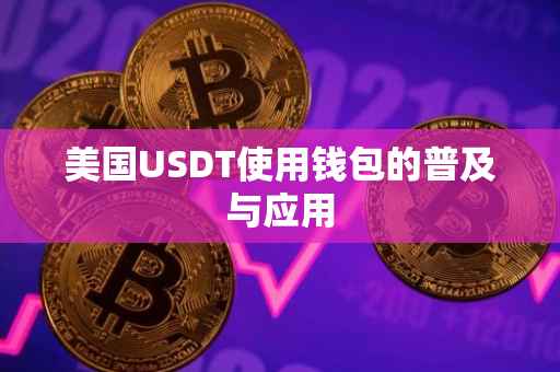 美国USDT使用钱包的普及与应用