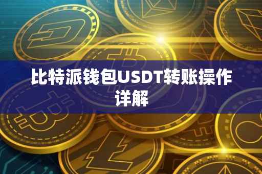 比特派钱包USDT转账操作详解