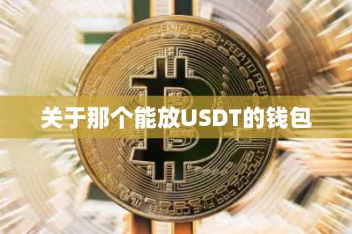 关于那个能放USDT的钱包