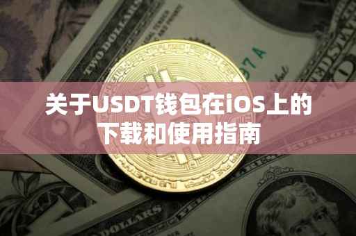关于USDT钱包在iOS上的下载和使用指南