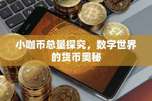 小咖币总量探究，数字世界的货币奥秘