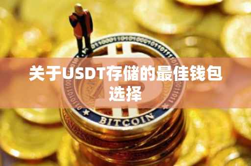 关于USDT存储的最佳钱包选择