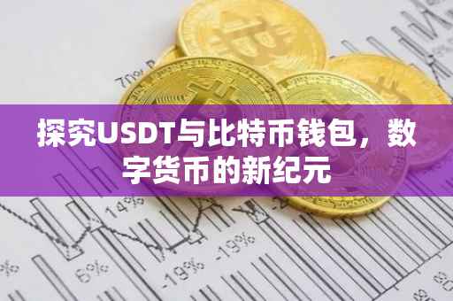 探究USDT与比特币钱包，数字货币的新纪元