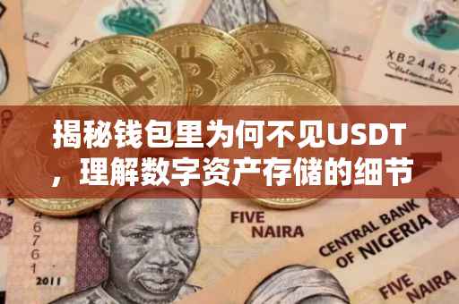 揭秘钱包里为何不见USDT，理解数字资产存储的细节