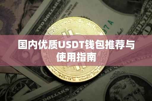 国内优质USDT钱包推荐与使用指南