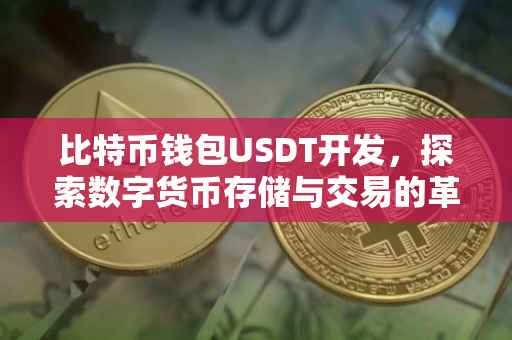 比特币钱包USDT开发，探索数字货币存储与交易的革新之路