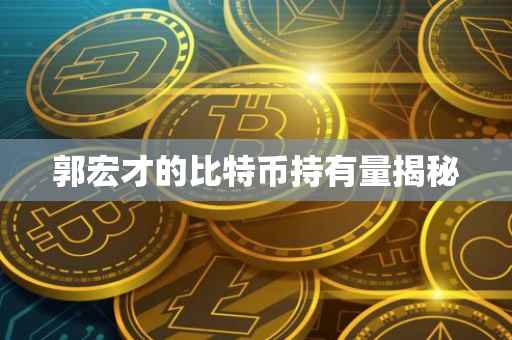 郭宏才的比特币持有量揭秘