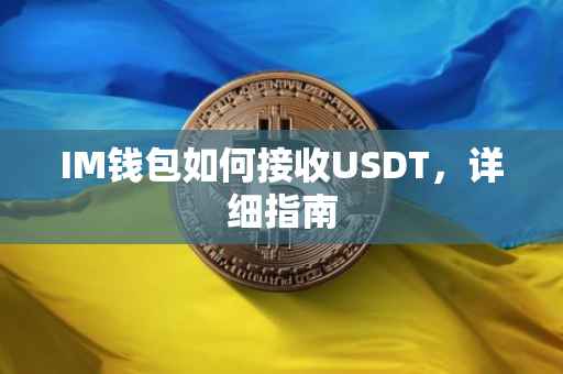 IM钱包如何接收USDT，详细指南