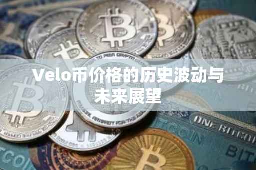 Velo币价格的历史波动与未来展望