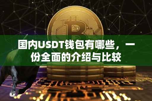国内USDT钱包有哪些，一份全面的介绍与比较