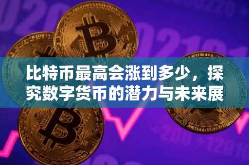 比特币最高会涨到多少，探究数字货币的潜力与未来展望