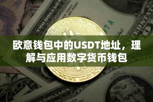 欧意钱包中的USDT地址，理解与应用数字货币钱包