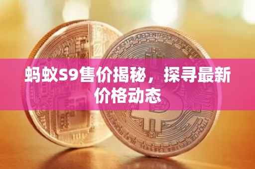 蚂蚁S9售价揭秘，探寻最新价格动态