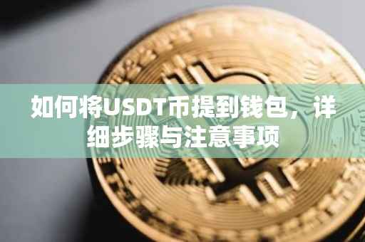 如何将USDT币提到钱包，详细步骤与注意事项